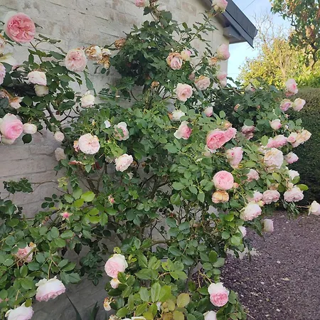 펜션 Bienvenue Chez Naty 오드리우