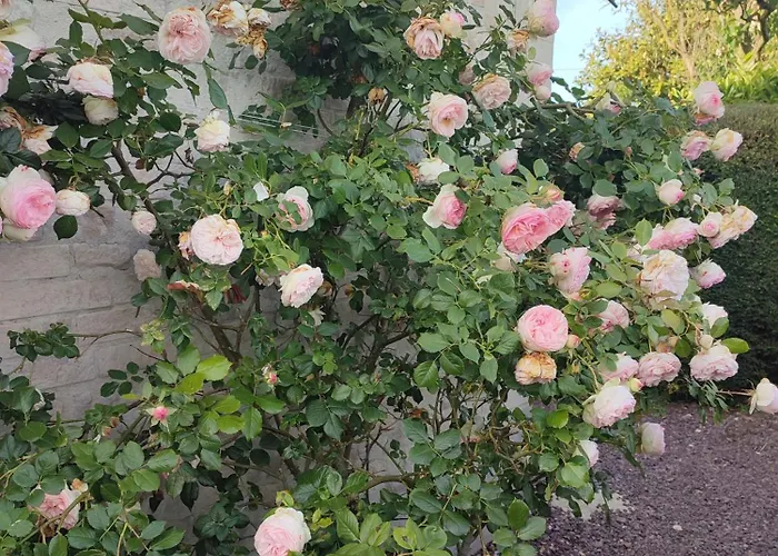 度假居 Bienvenue Chez Naty 奥德赫尤